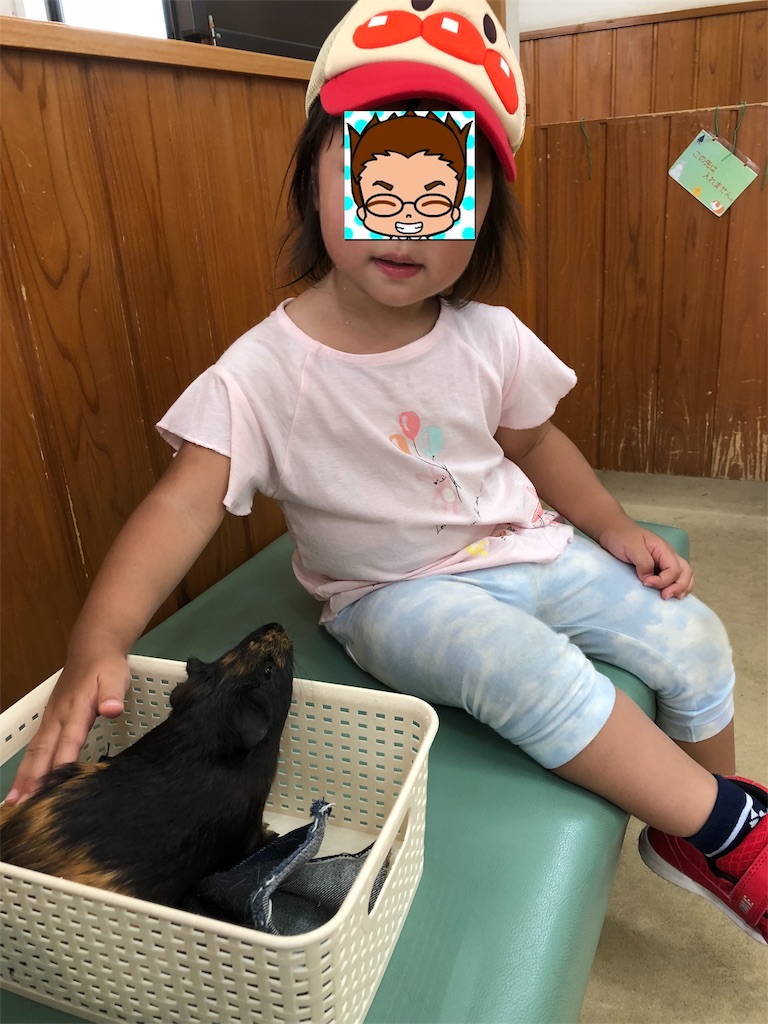 f:id:tamajirooo:20180908194141j:image f:id:tamajirooo:20180908194141j:image
