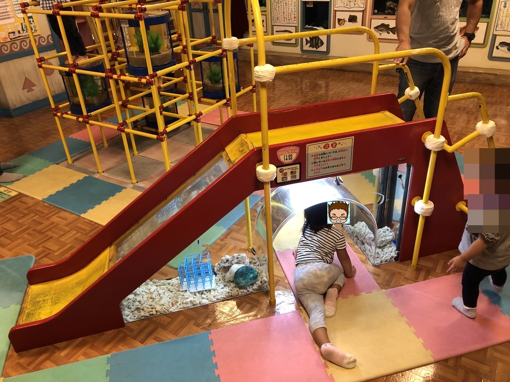 f:id:tamajirooo:20181005223923j:plain f:id:tamajirooo:20181005223923j:plain