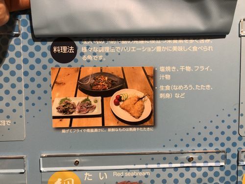 f:id:tamajirooo:20181013211444j:plain f:id:tamajirooo:20181013211444j:plain