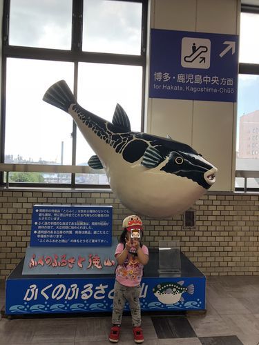 f:id:tamajirooo:20181107194551j:plain f:id:tamajirooo:20181107194551j:plain