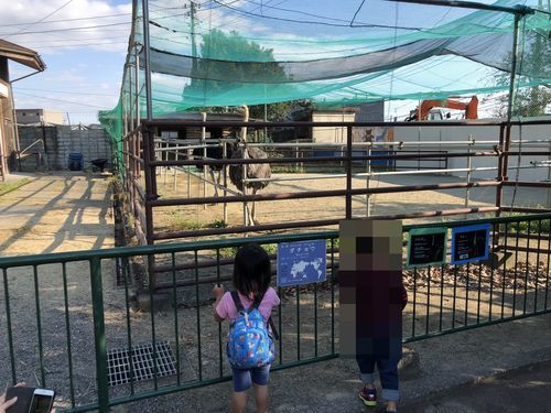 f:id:tamajirooo:20181108195557j:plain f:id:tamajirooo:20181108195557j:plain