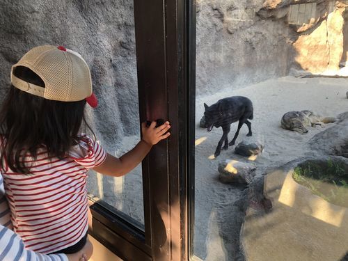 f:id:tamajirooo:20181117000706j:plain f:id:tamajirooo:20181117000706j:plain