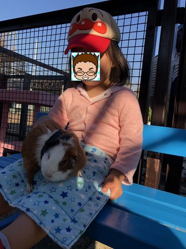 f:id:tamajirooo:20181127195902j:plain f:id:tamajirooo:20181127195902j:plain