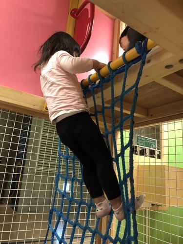 f:id:tamajirooo:20190309173447j:plain f:id:tamajirooo:20190309173447j:plain
