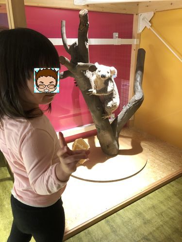 f:id:tamajirooo:20190309173448j:plain f:id:tamajirooo:20190309173448j:plain