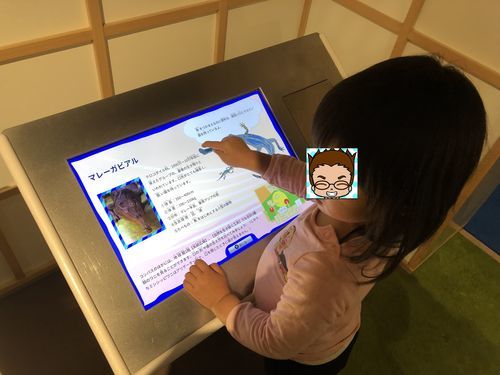 f:id:tamajirooo:20190309173500j:plain f:id:tamajirooo:20190309173500j:plain