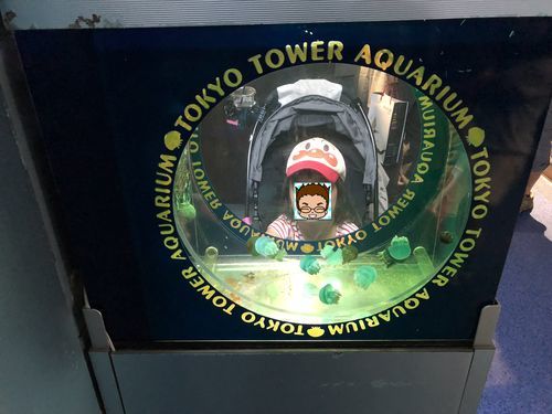 東京タワー水族館の展示