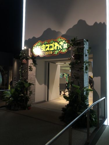 オービィ横浜の昆虫スゴワザ展