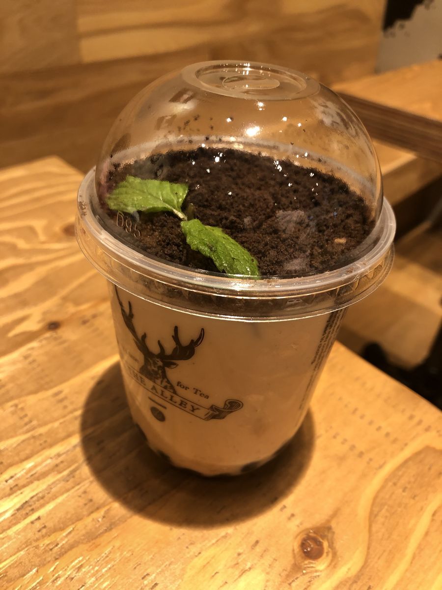 f:id:tamajirooo:20191111232937j:plain f:id:tamajirooo:20191111232937j:plain
