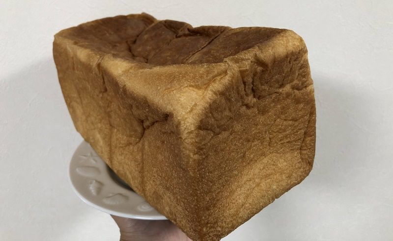 f:id:tamajirooo:20200911201514j:plain f:id:tamajirooo:20200911201514j:plain