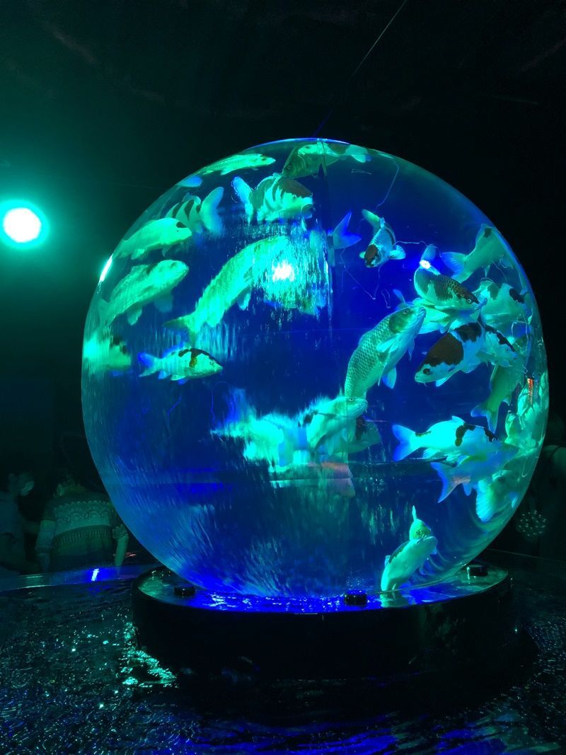 アートアクアリウム地球