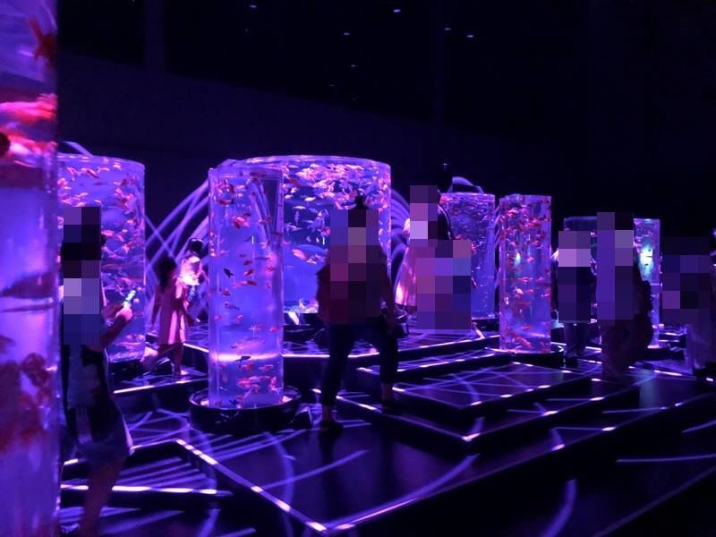 ライトアップピンク