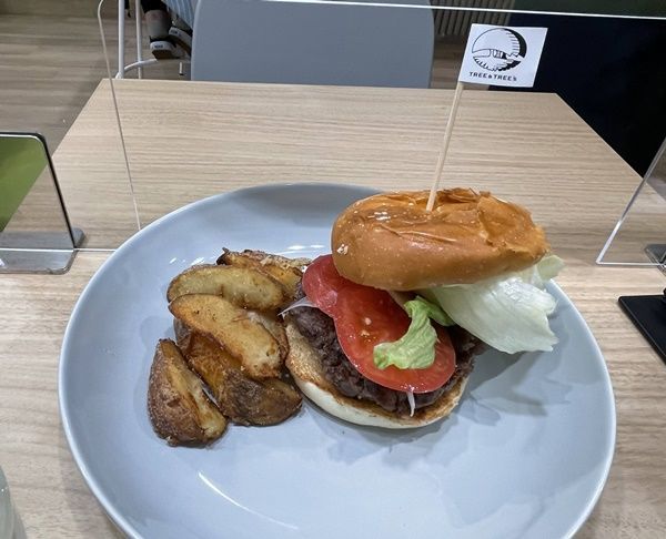 f:id:tamajirooo:20210803145756j:plain