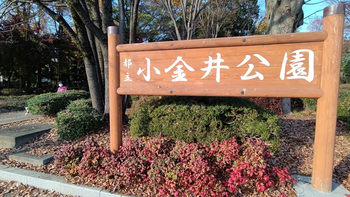 f:id:tamakenmin:20201208174812j:plain