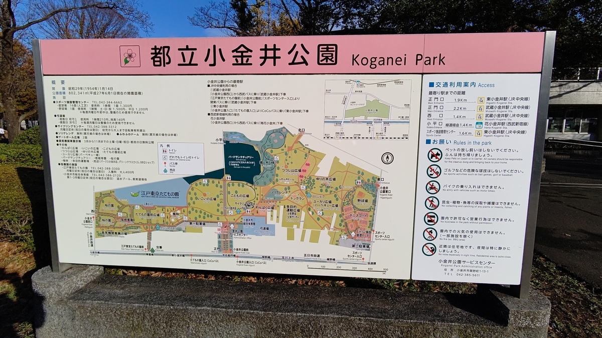 f:id:tamakenmin:20201208180327j:plain