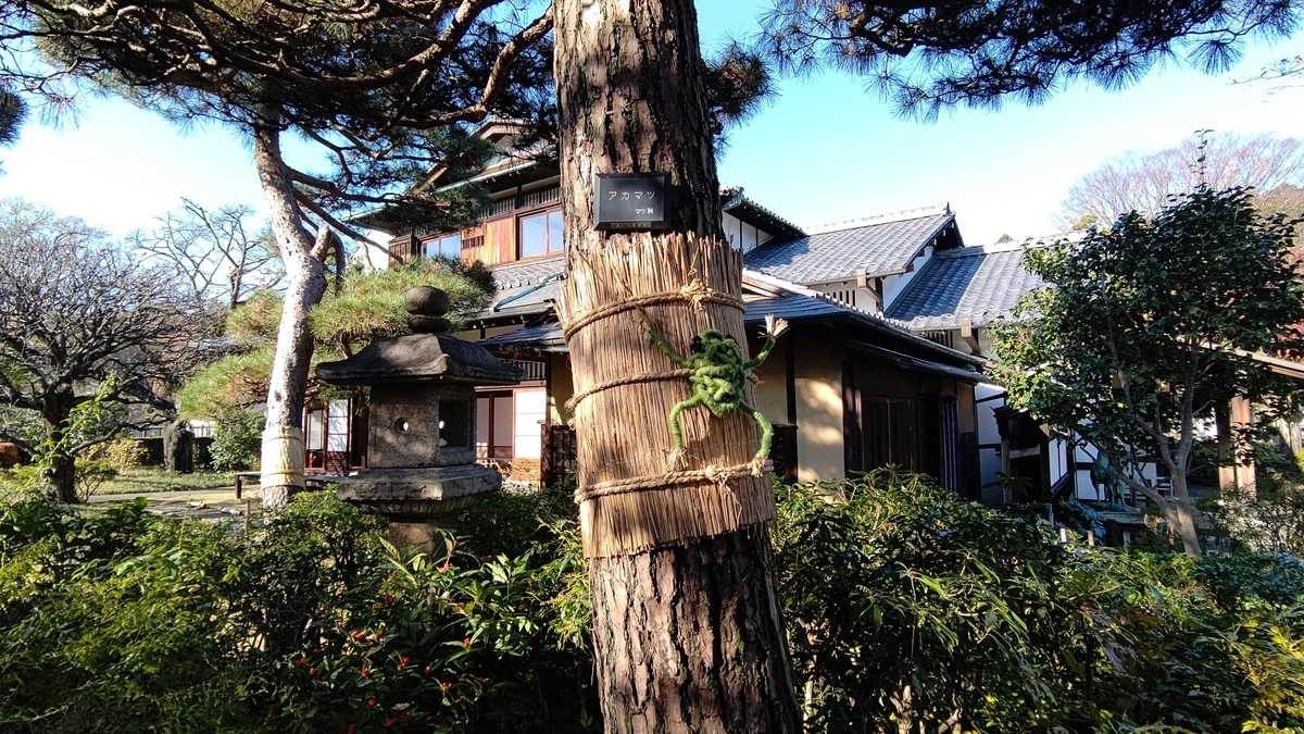 f:id:tamakenmin:20201208180831j:plain