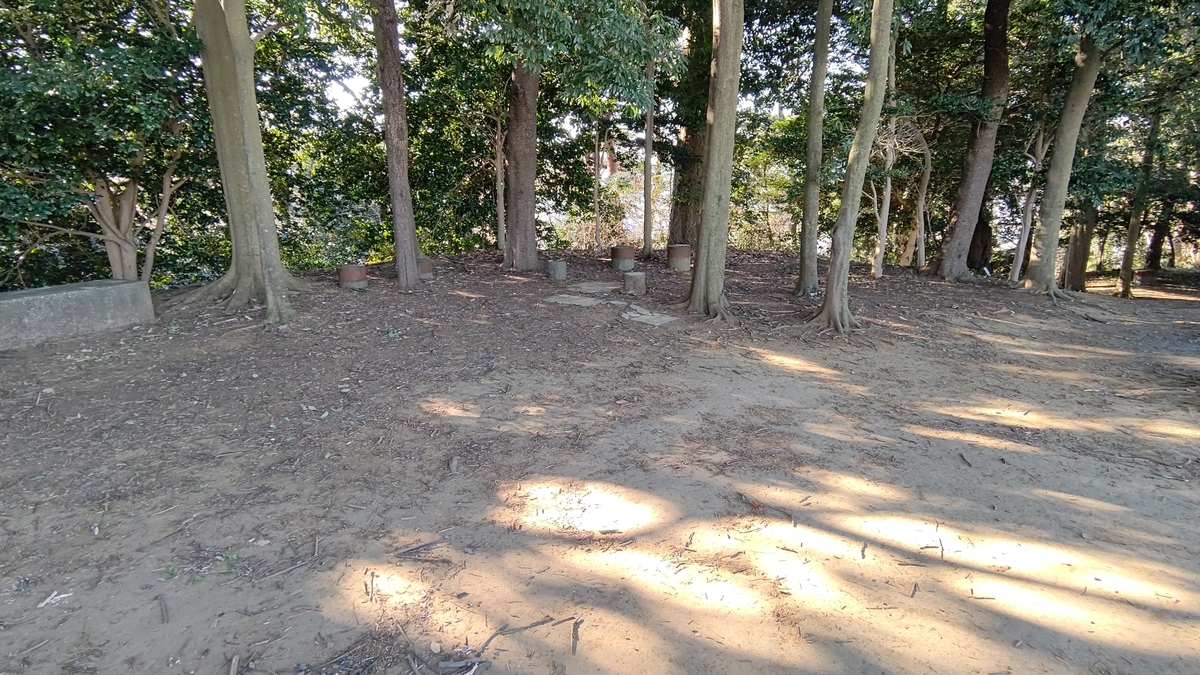 f:id:tamakenmin:20210105131111j:plain