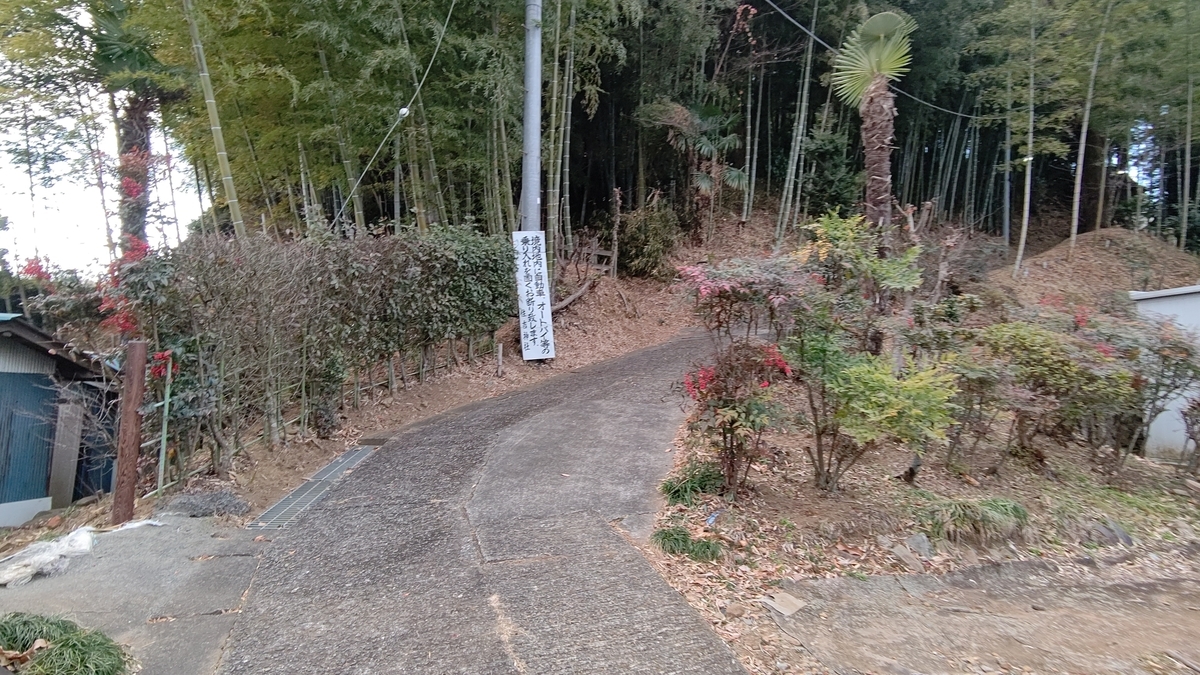 f:id:tamakenmin:20210117190355j:plain