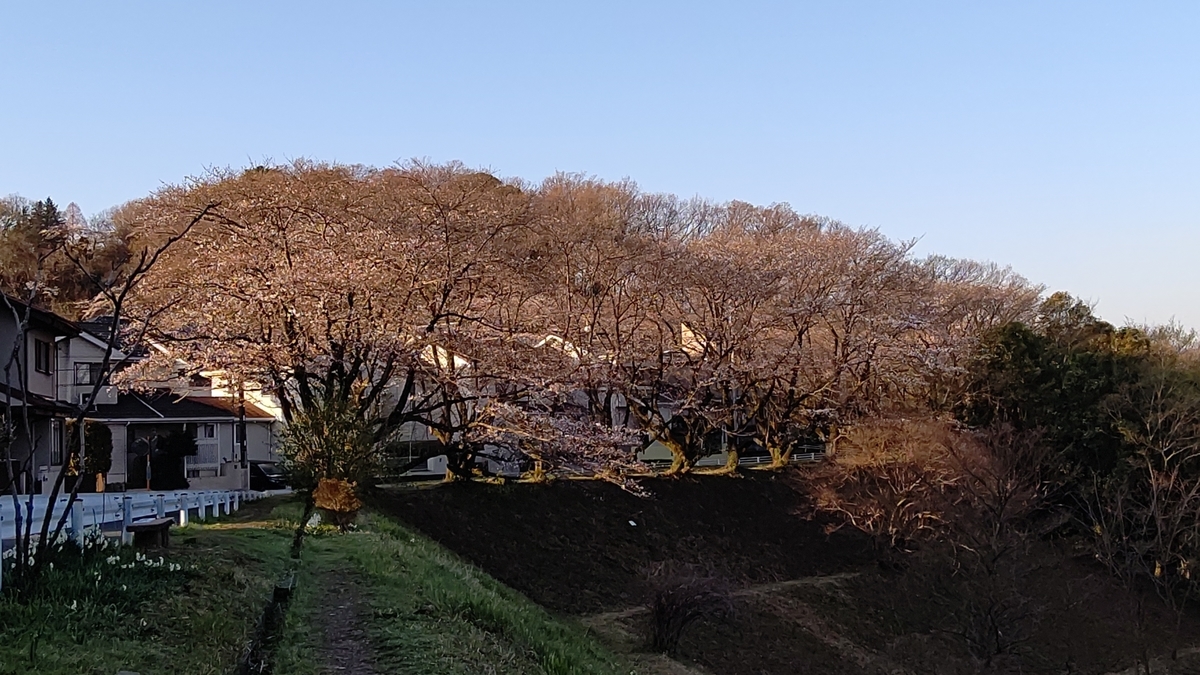 f:id:tamakenmin:20210324234239j:plain