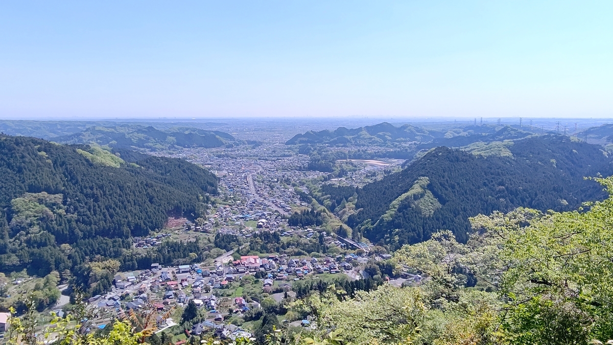 f:id:tamakenmin:20210421222808j:plain