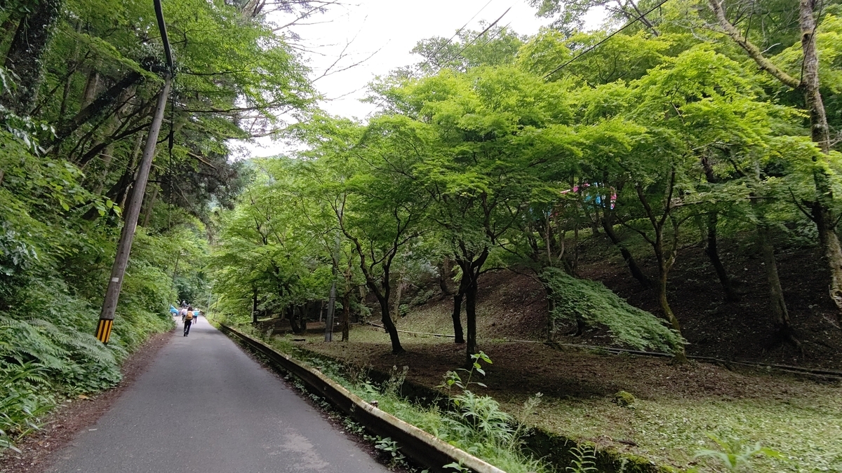 f:id:tamakenmin:20210530233254j:plain