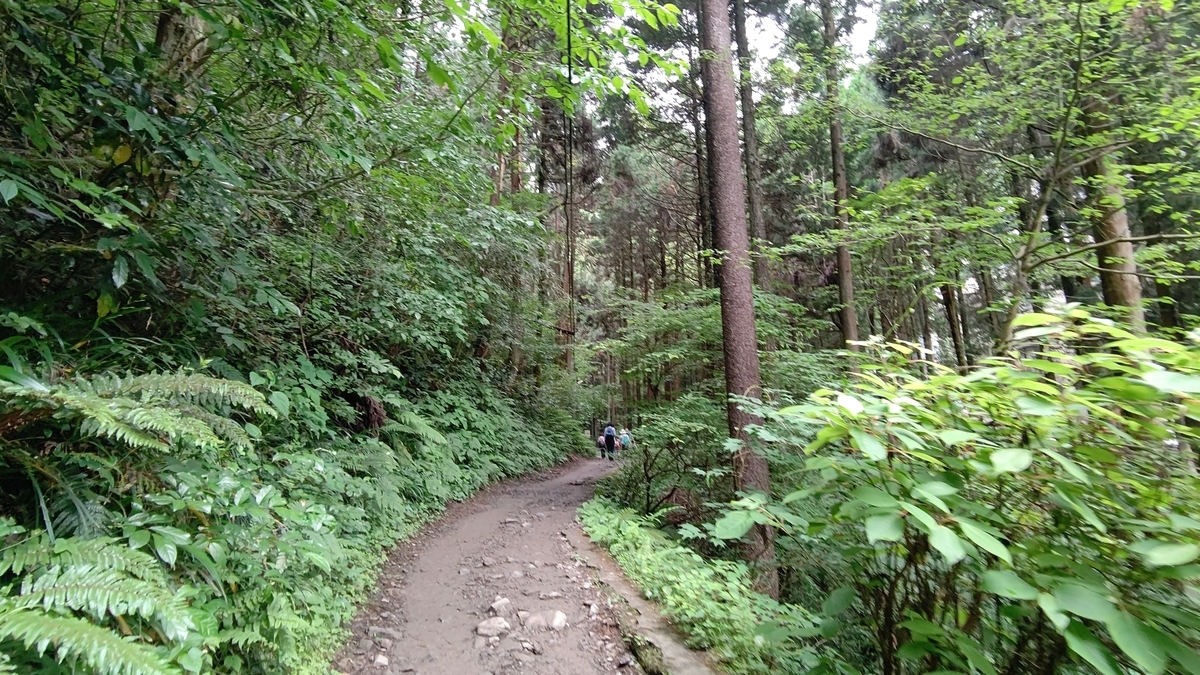 f:id:tamakenmin:20210530233457j:plain