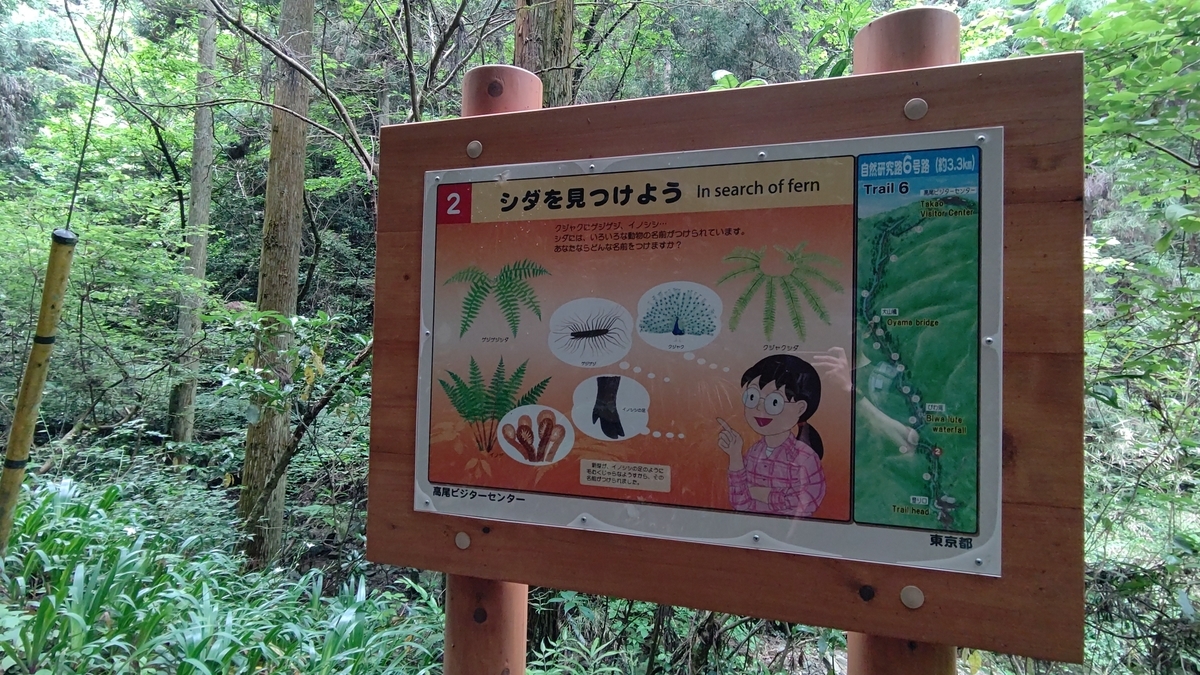 f:id:tamakenmin:20210530233932j:plain