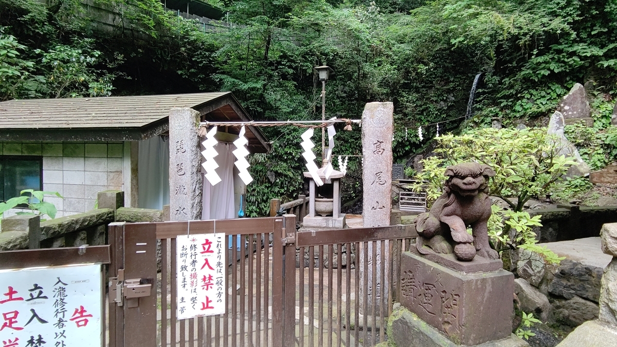 f:id:tamakenmin:20210530234104j:plain