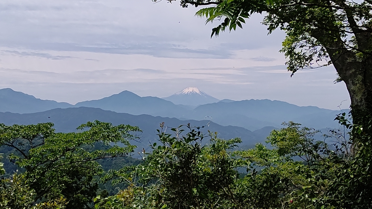 f:id:tamakenmin:20210530235845j:plain