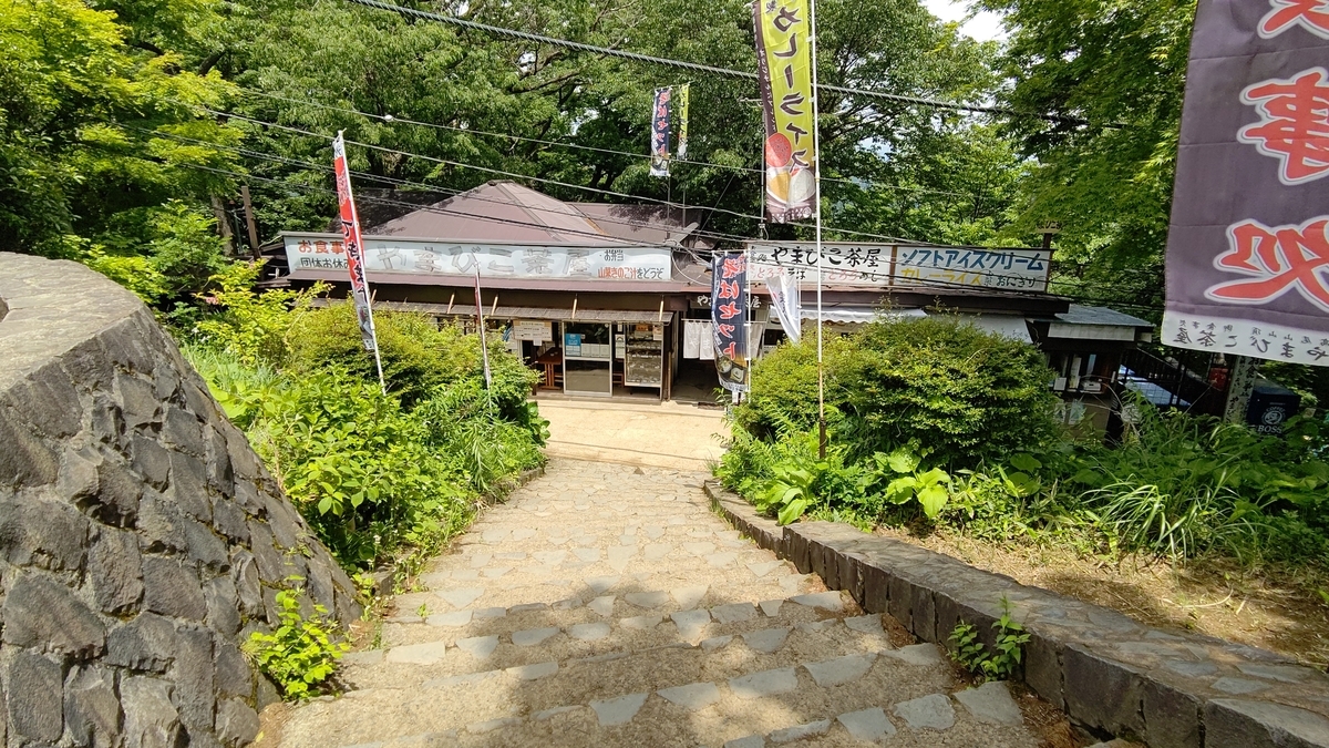 f:id:tamakenmin:20210531000012j:plain