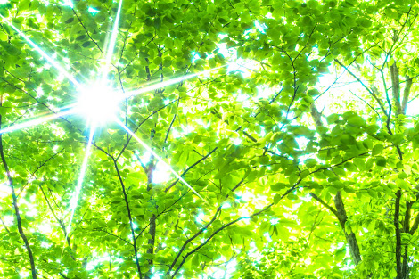 f:id:tamaki-tamaki:20180505084258j:plain f:id:tamaki-tamaki:20180505084258j:plain