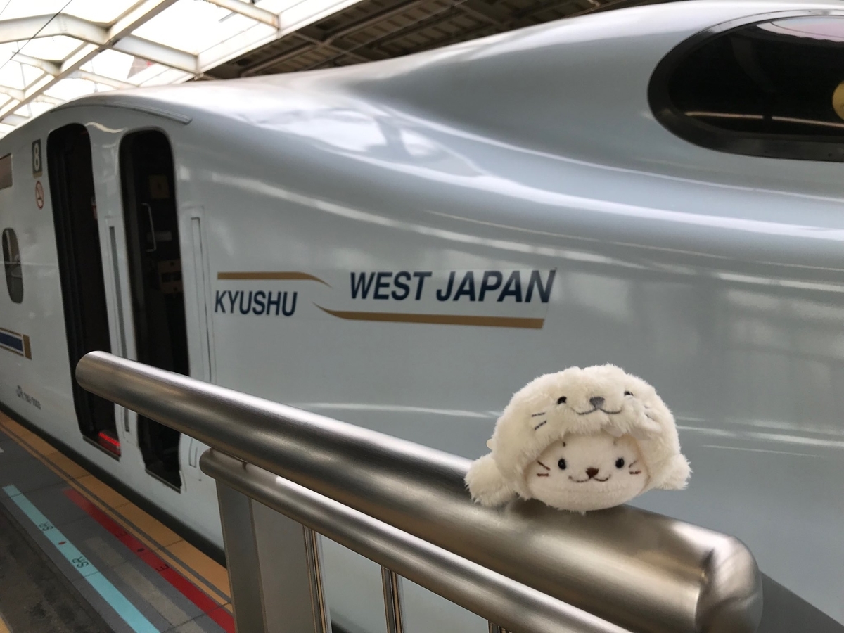 f:id:tamaki_sunny_cloudy:20191004184709j:plain f:id:tamaki_sunny_cloudy:20191004184709j:plain