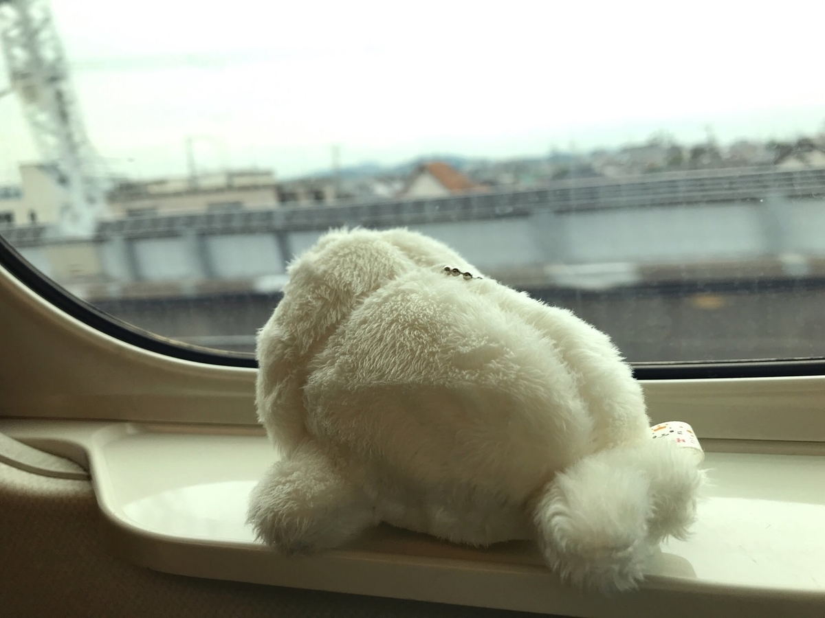f:id:tamaki_sunny_cloudy:20191004185135j:plain f:id:tamaki_sunny_cloudy:20191004185135j:plain