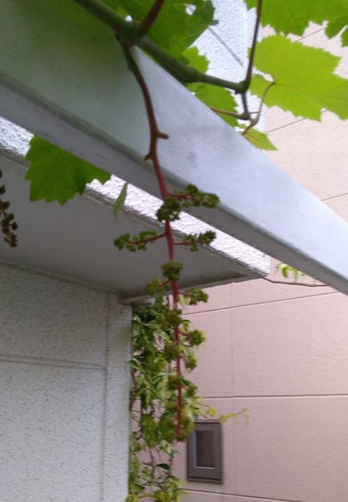 f:id:tamakich-DIY:20190515222407j:plain