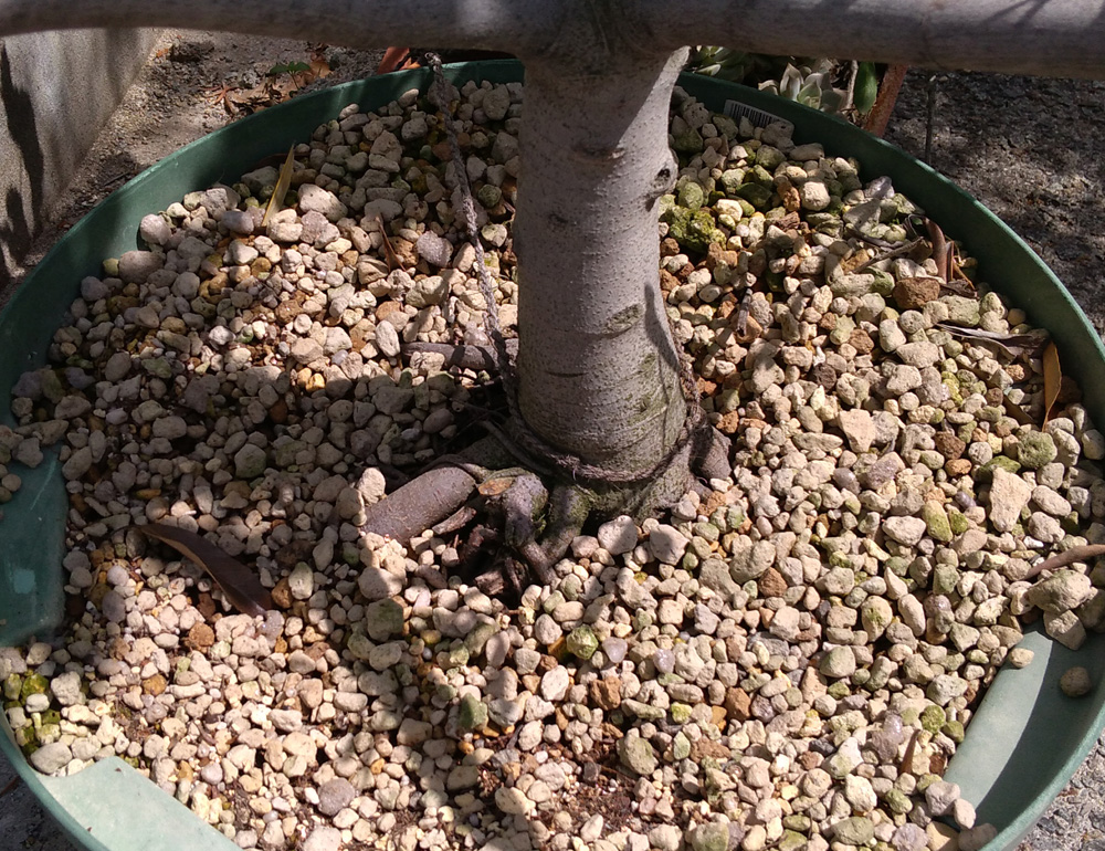 f:id:tamakich-DIY:20190609190211j:plain f:id:tamakich-DIY:20190609190211j:plain