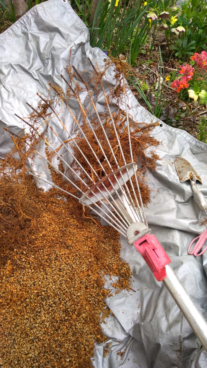 f:id:tamakich-DIY:20190609202443j:plain f:id:tamakich-DIY:20190609202443j:plain