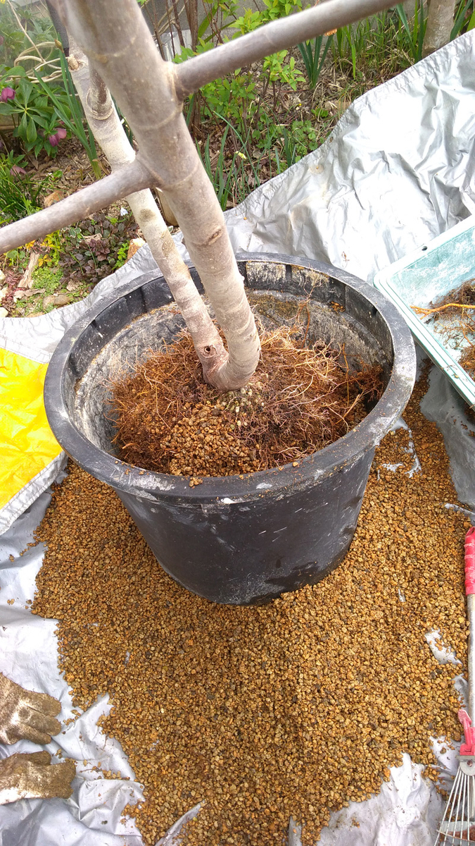 f:id:tamakich-DIY:20190609202454j:plain f:id:tamakich-DIY:20190609202454j:plain