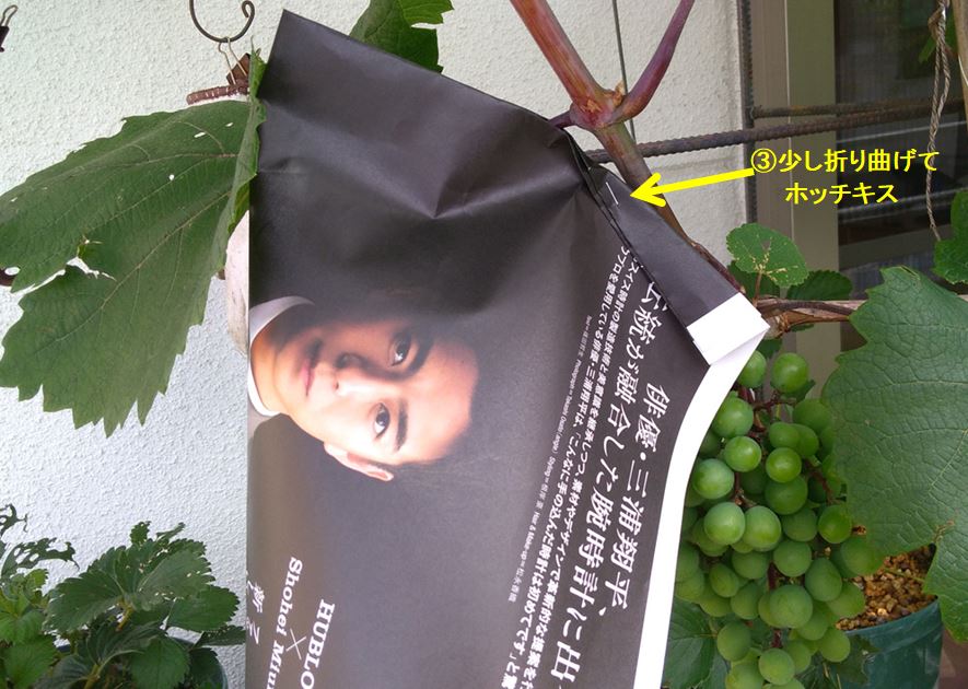 f:id:tamakich-DIY:20190623214632j:plain