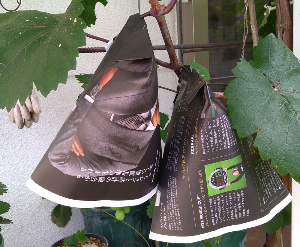 f:id:tamakich-DIY:20190623214723j:plain