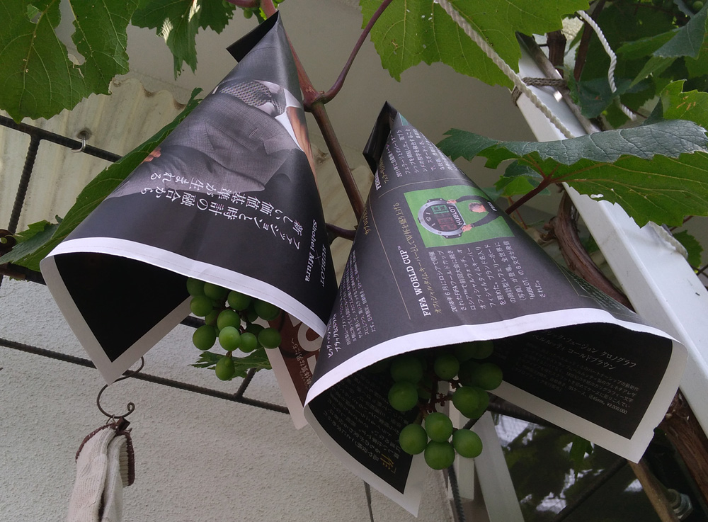 f:id:tamakich-DIY:20190623214741j:plain