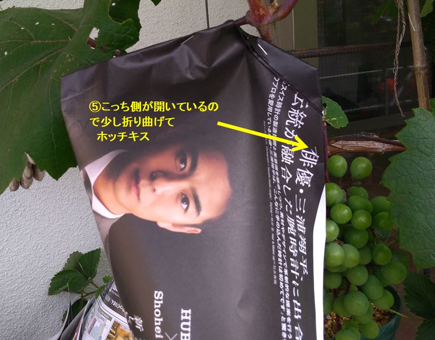 f:id:tamakich-DIY:20190623215747j:plain