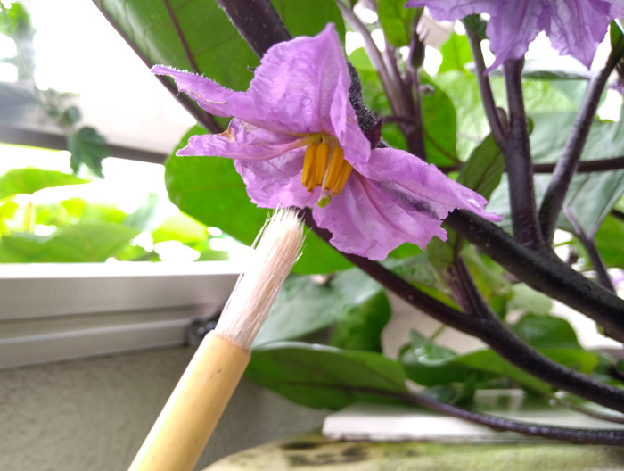 f:id:tamakich-DIY:20190704001351j:plain f:id:tamakich-DIY:20190704001351j:plain