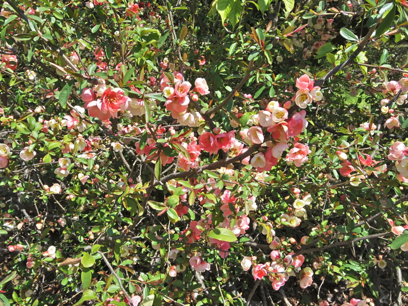 f:id:tamakik:20170324230917j:image f:id:tamakik:20170324230917j:image