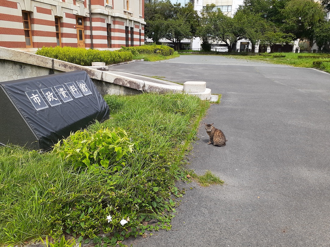 f:id:tamakik:20200702221245j:plain f:id:tamakik:20200702221245j:plain