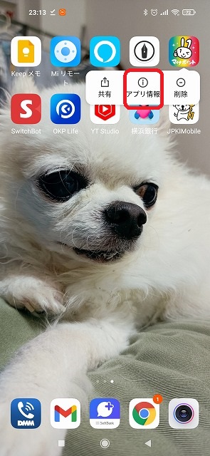 f:id:tamakild:20210922234214j:plain