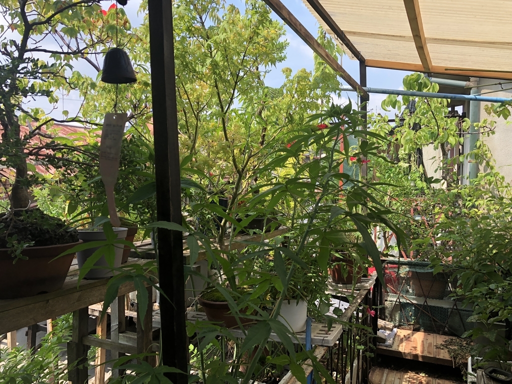 f:id:tamakinishimura:20180917194810j:plain