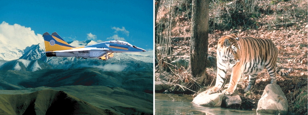 f:id:tamakino:20180910102748j:plain