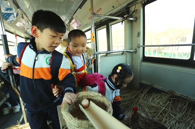 f:id:tamakino:20190116124027j:plain