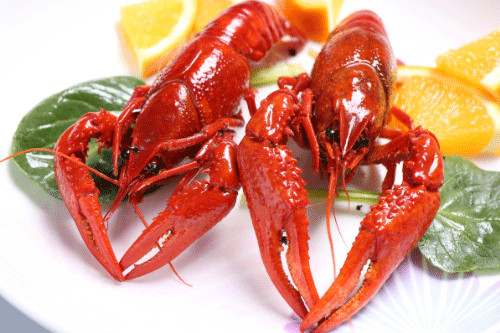 f:id:tamakino:20190708094241j:plain