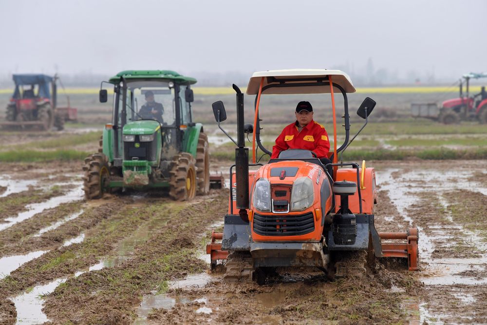 f:id:tamakino:20200531083449j:plain